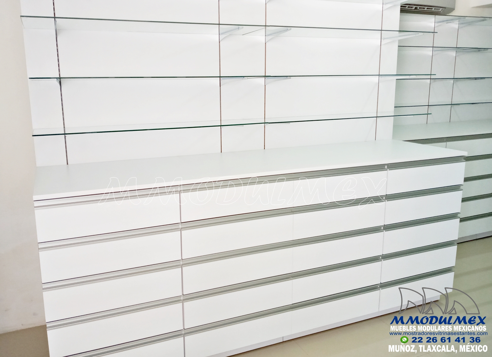 Muebles Para Negocio Dental 2